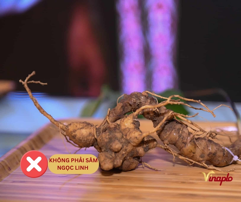 Sâm Ngọc Linh giả