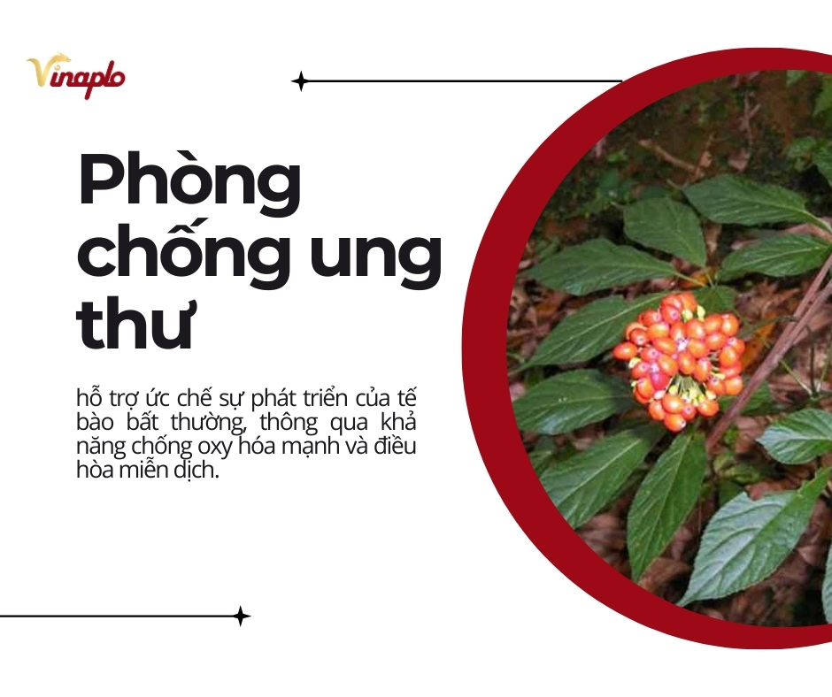 Phòng chống bệnh ung thư