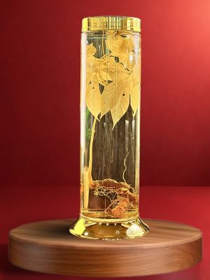 Rượu Sâm Ngọc Linh - V2.02