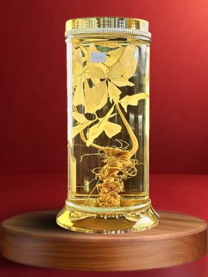 Rượu Sâm Ngọc Linh - V1.02