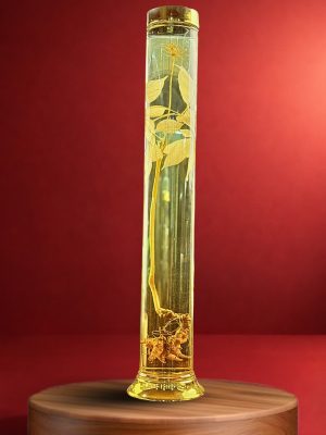 Rượu Sâm Ngọc Linh - V1.08