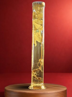 Rượu Sâm Ngọc Linh - R1