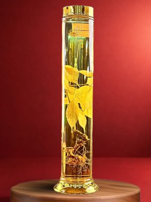 Rượu Sâm Ngọc Linh - V2.05