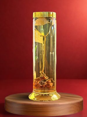 Rượu Sâm Ngọc Linh - V3.10