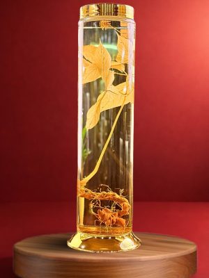 Rượu Sâm Ngọc Linh - V2.22