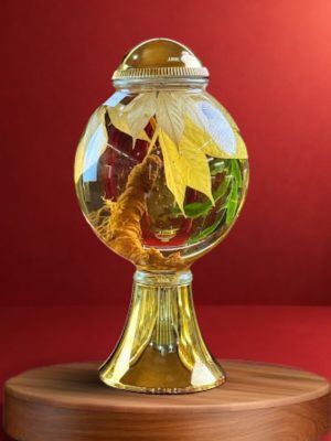 Rượu Sâm Ngọc Linh - V2.24