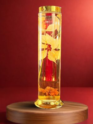 Rượu Sâm Ngọc Linh - V1.05