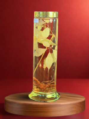 Rượu Sâm Ngọc Linh - V1.02