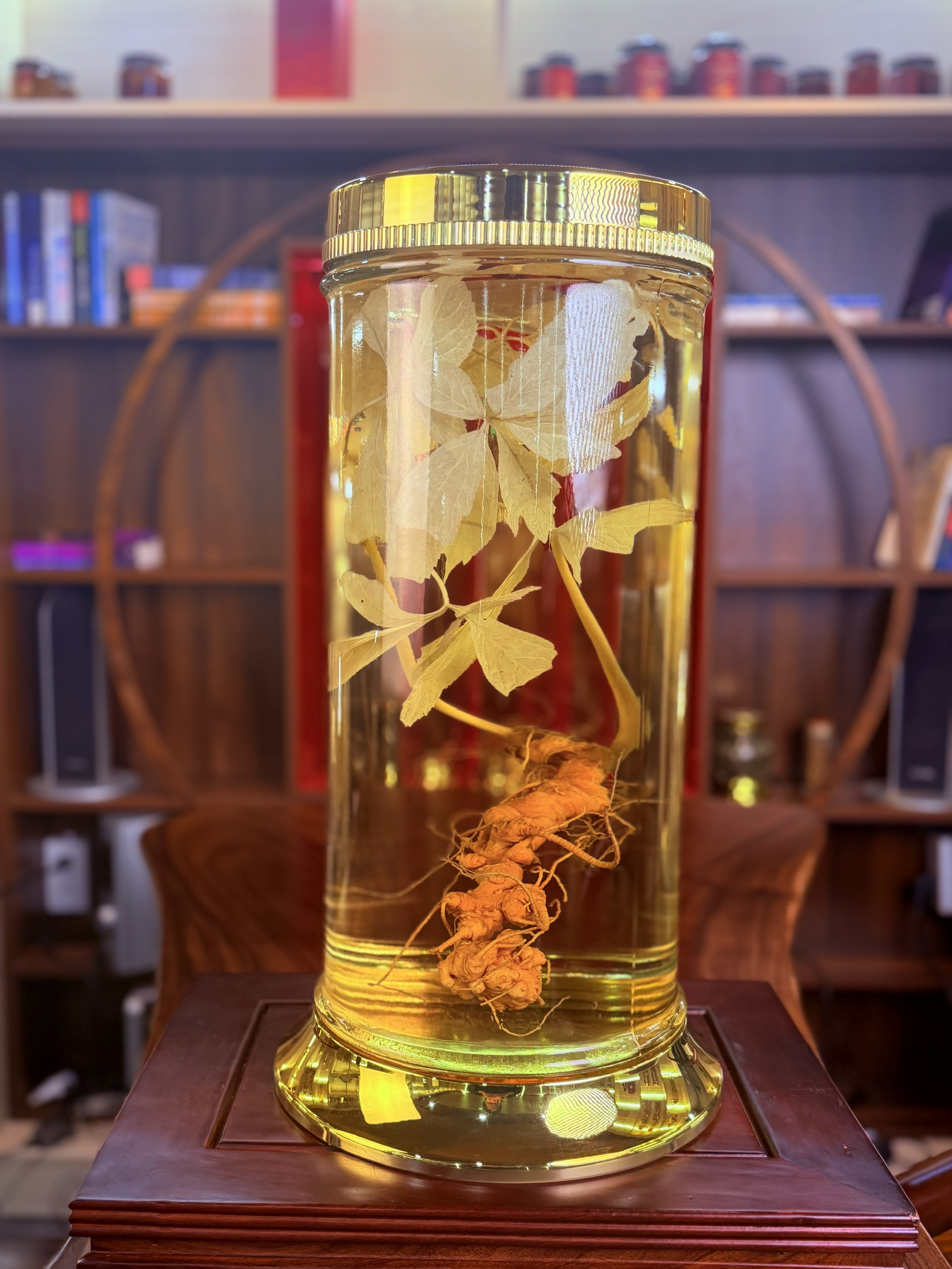 rượu s&acirc;m ngọc linh