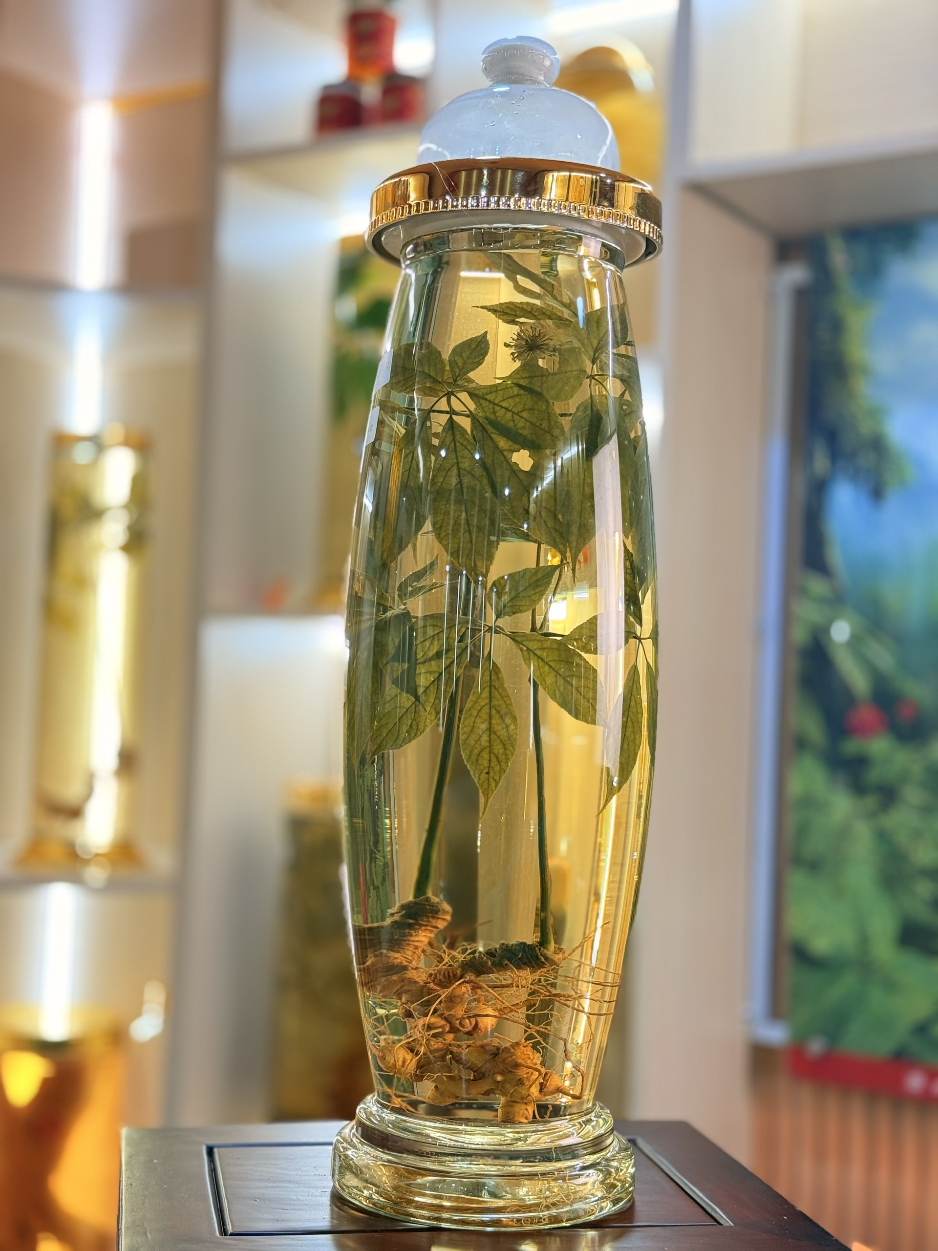 Bình rượu sâm Ngọc Linh