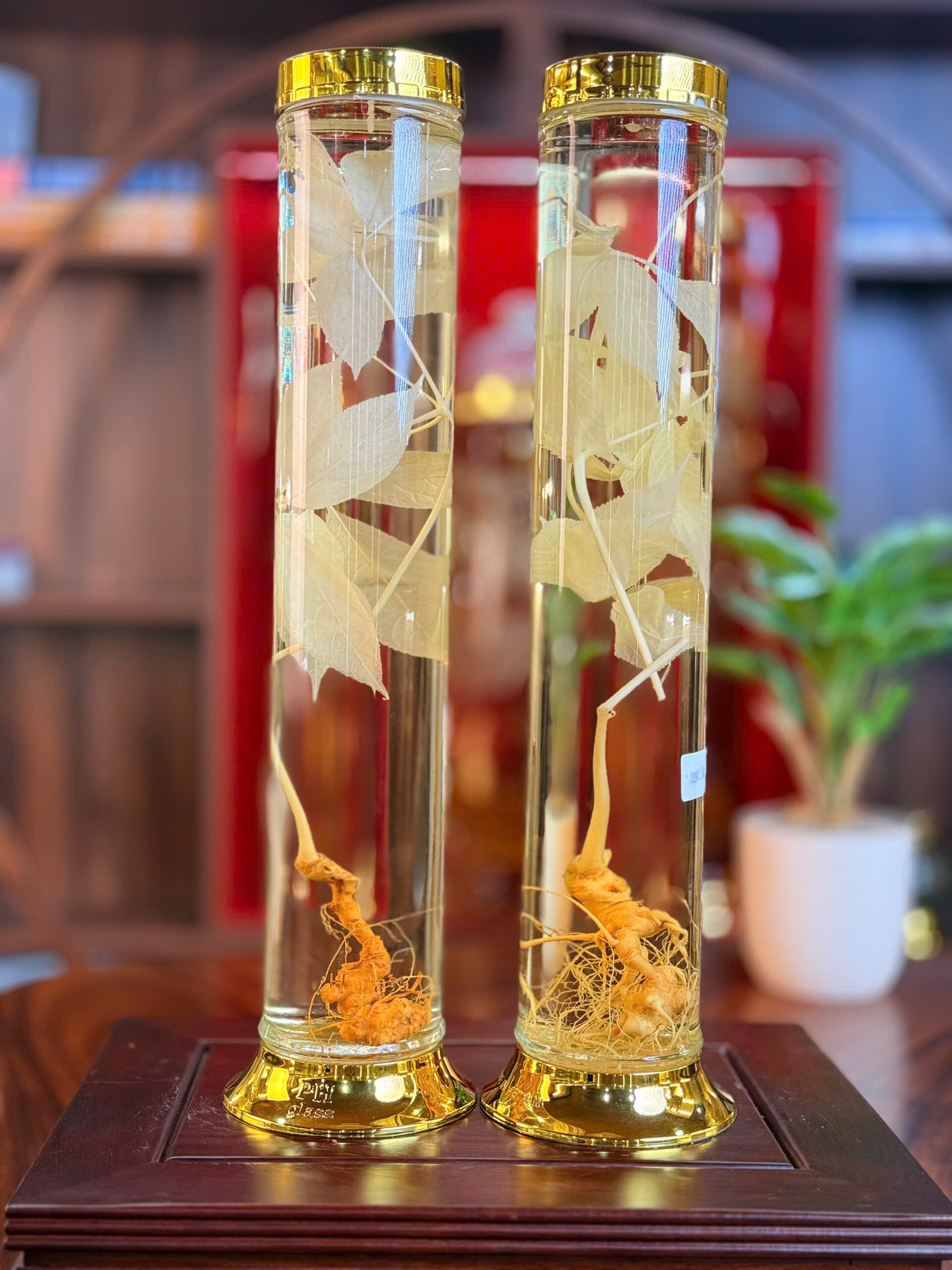 RƯỢU S&Acirc;M NGỌC LINH