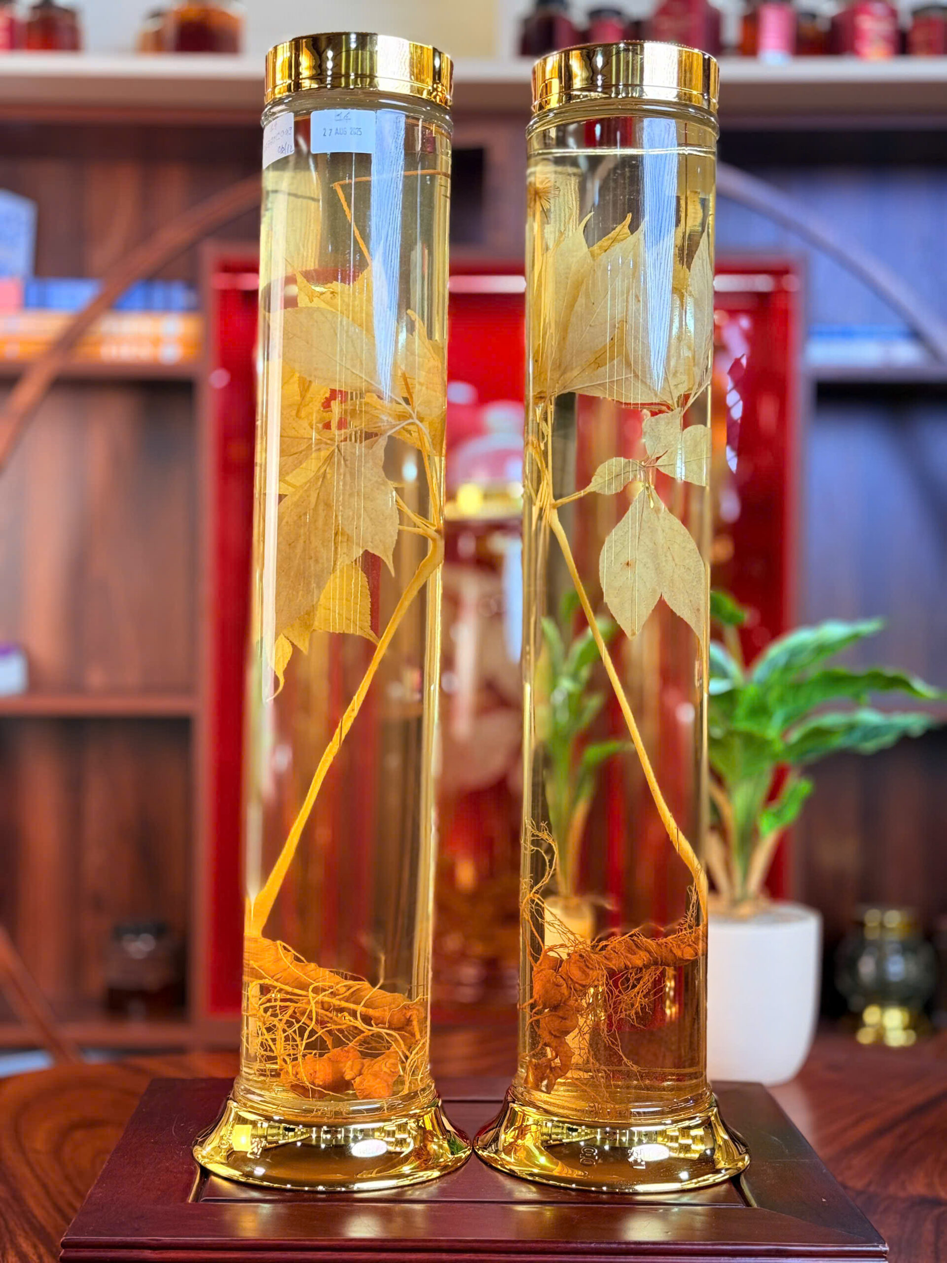 RƯỢU S&Acirc;M NGỌC LINH