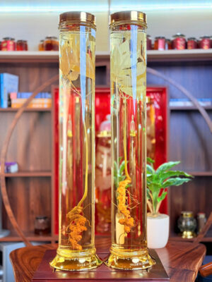 Rượu Sâm Ngọc Linh - V3.02|V1.07