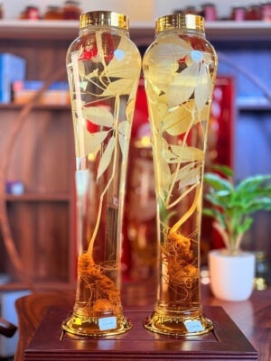 Rượu Sâm Ngọc Linh - T.24M