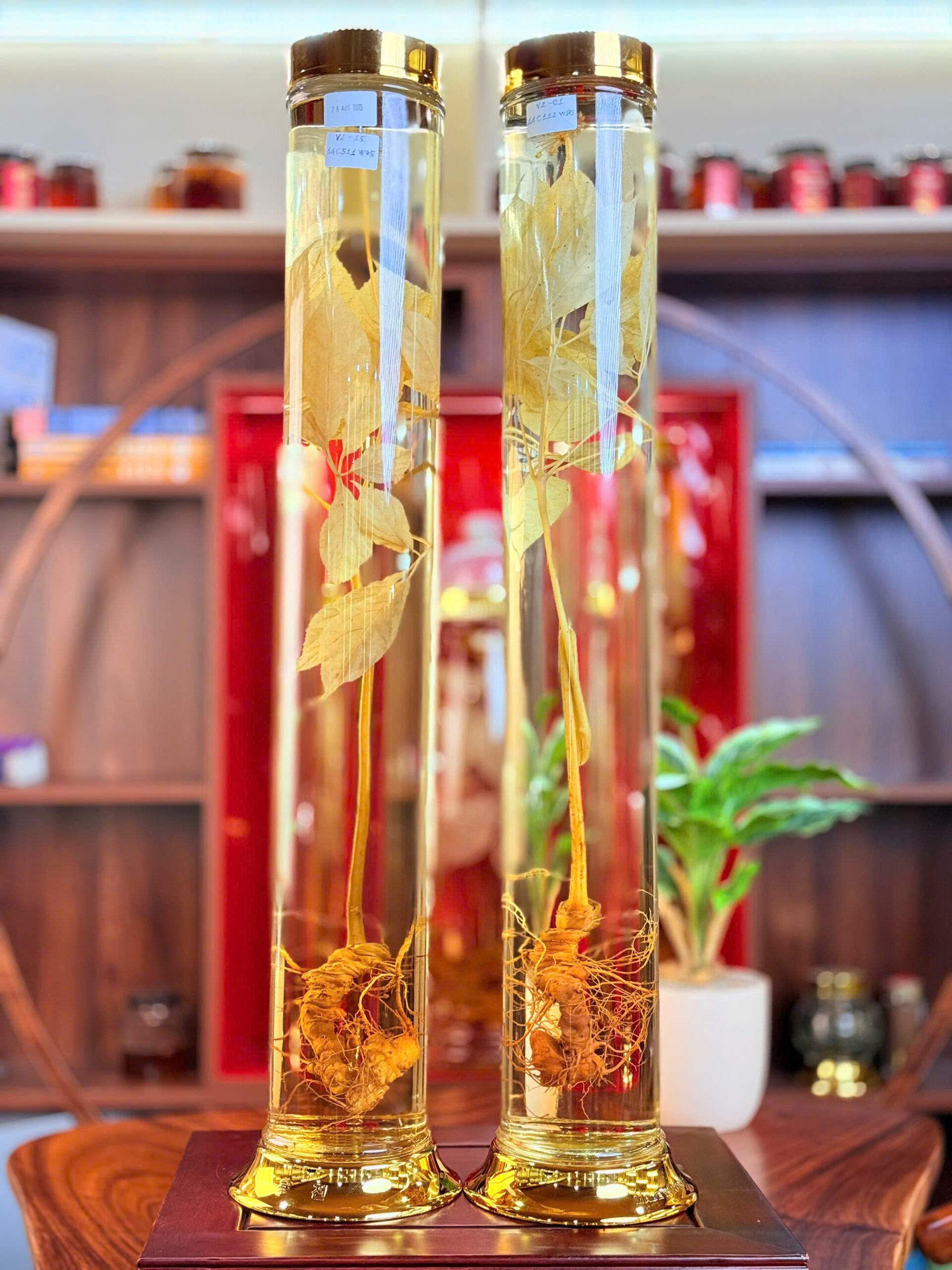 RƯỢU S&Acirc;M NGỌC LINH