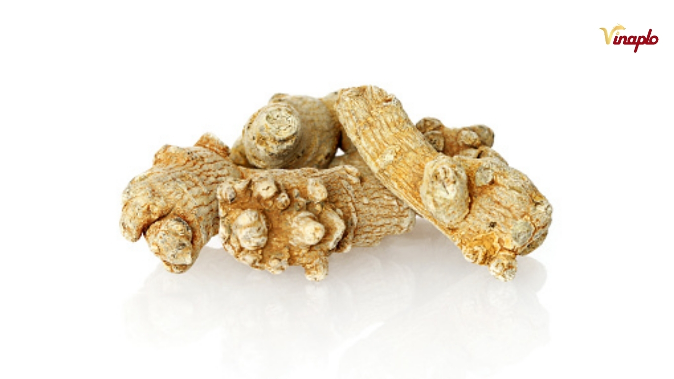 So sánh sâm Ngọc Linh với sâm Mỹ