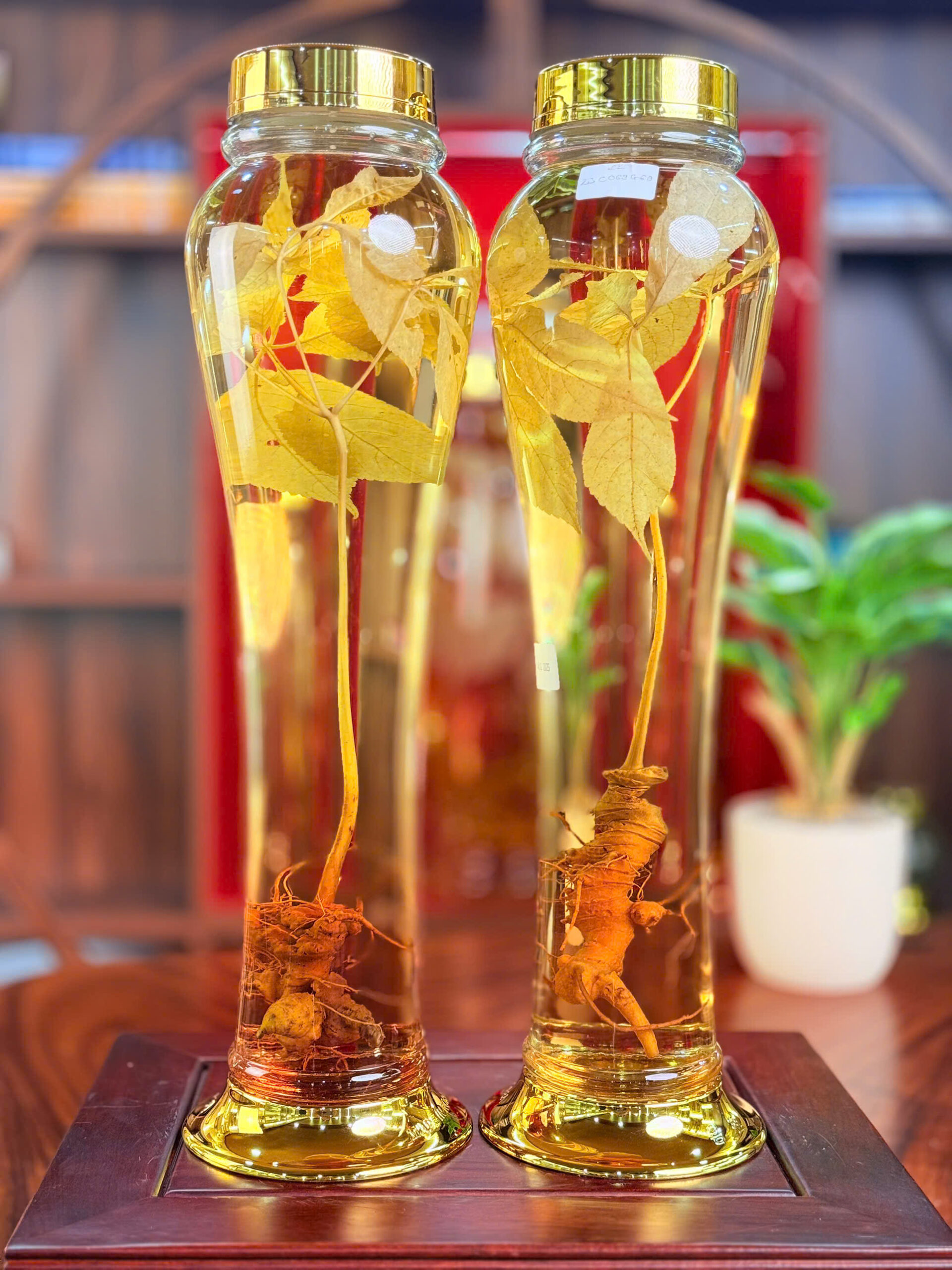 RƯỢU S&Acirc;M NGỌC LINH