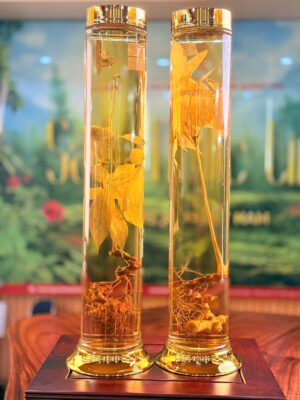 Rượu Sâm Ngọc Linh - V2.05|V2.16