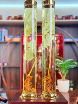 Rượu Sâm Ngọc Linh - T1.04|T1.05