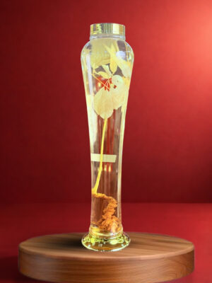 RƯỢU SÂM NGỌC LINH