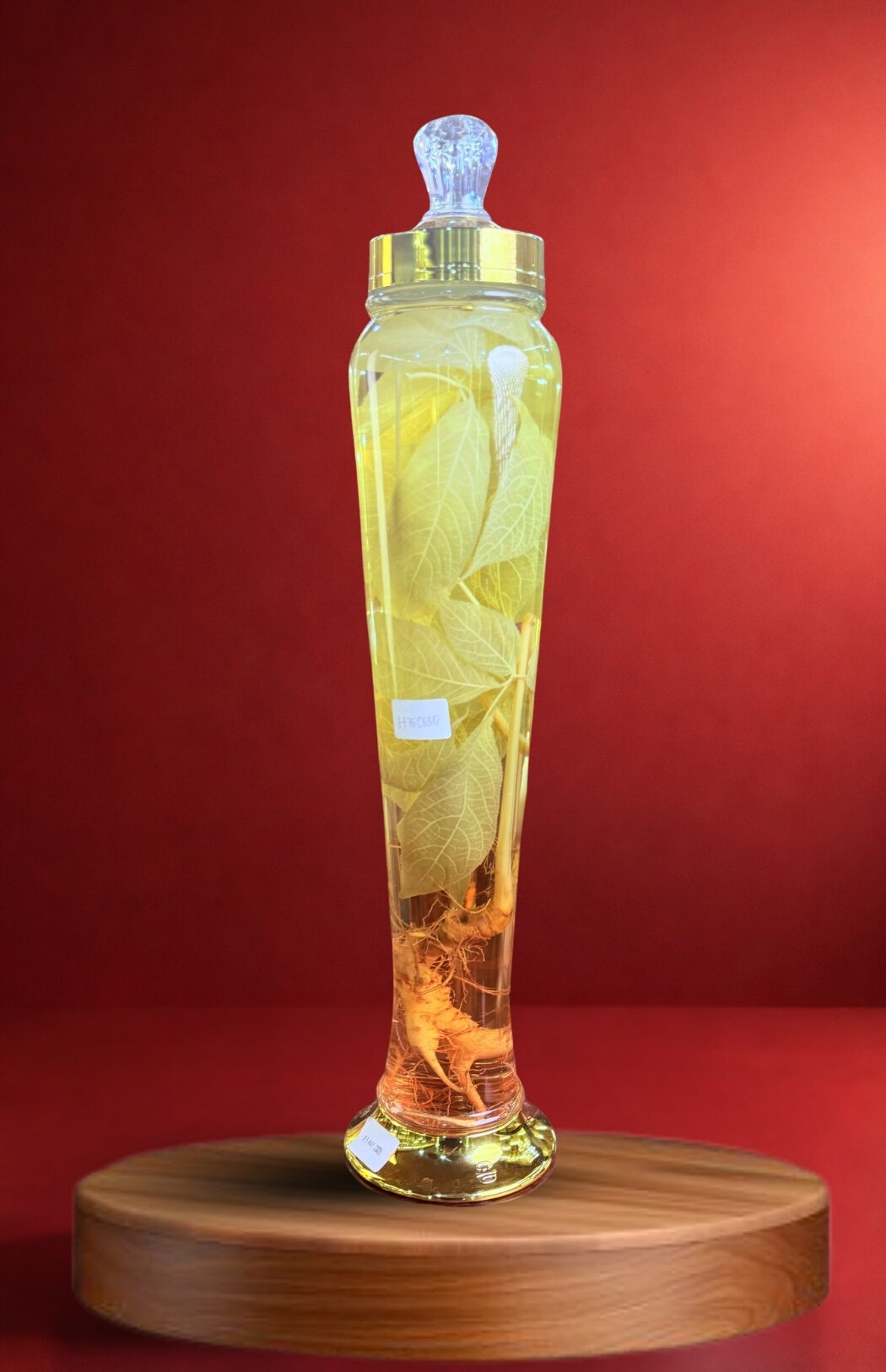 rượu s&acirc;m ngọc linh