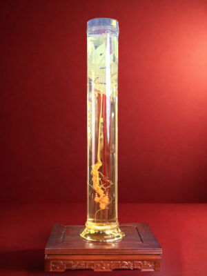 RƯỢU SÂM NGỌC LINH