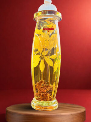 Rượu Sâm Ngọc Linh - V2.30