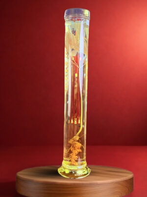 RƯỢU SÂM NGỌC LINH