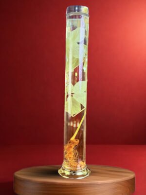 RƯỢU SÂM NGỌC LINH