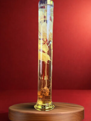 RƯỢU SÂM NGỌC LINH