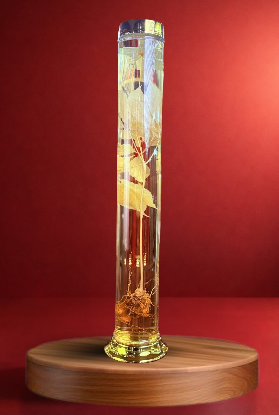 RƯỢU S&Acirc;M NGỌC LINH