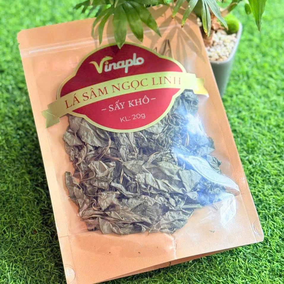 Cách dùng sâm Ngọc Linh với trà