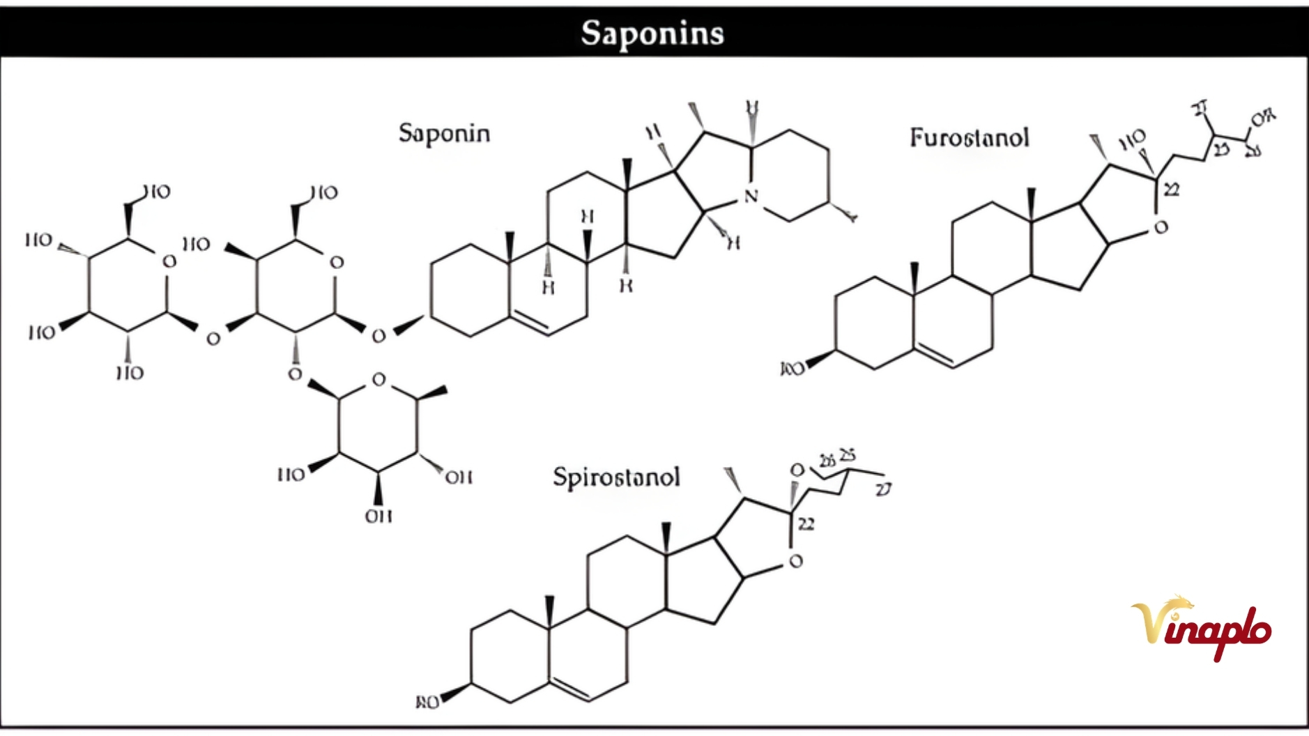 Saponin