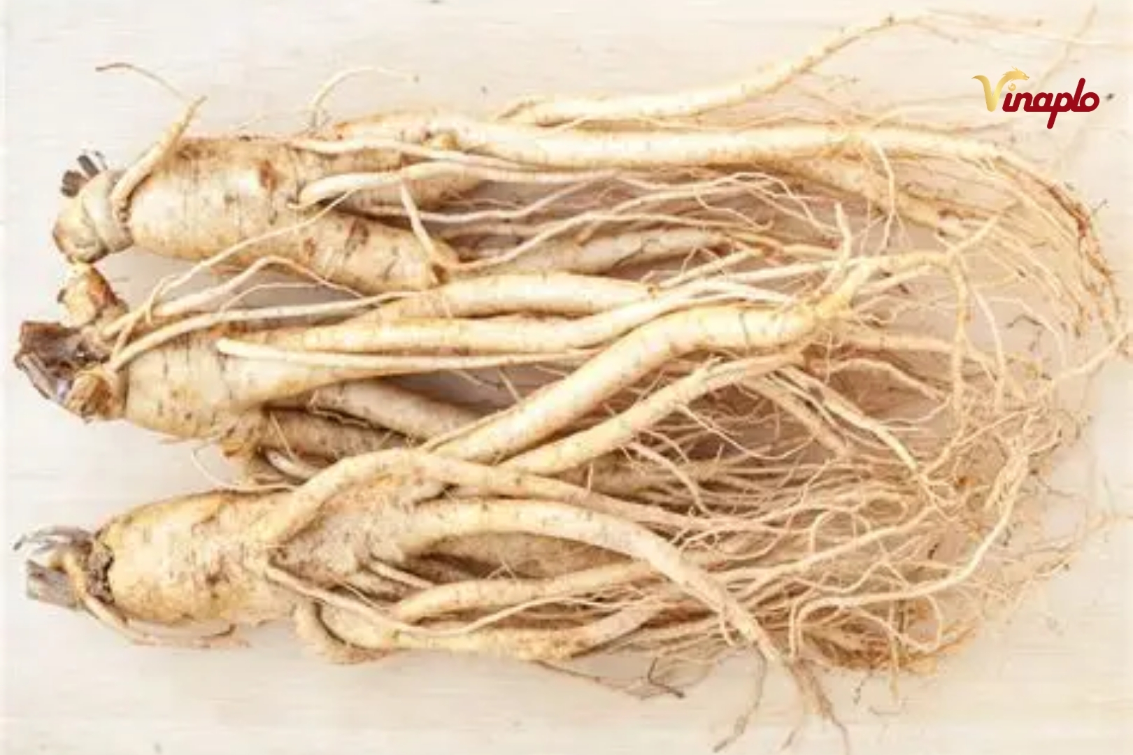 Công dụng sâm Hàn Quốc