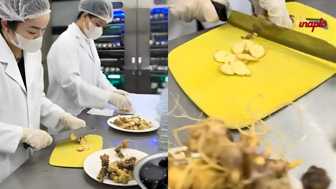 Thái lát vừa đủ bỏ vào hủ