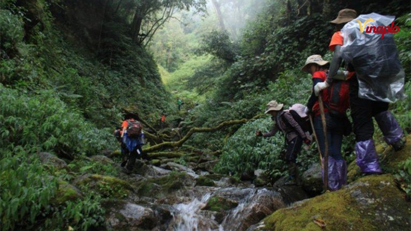 Thu hút người leo núi