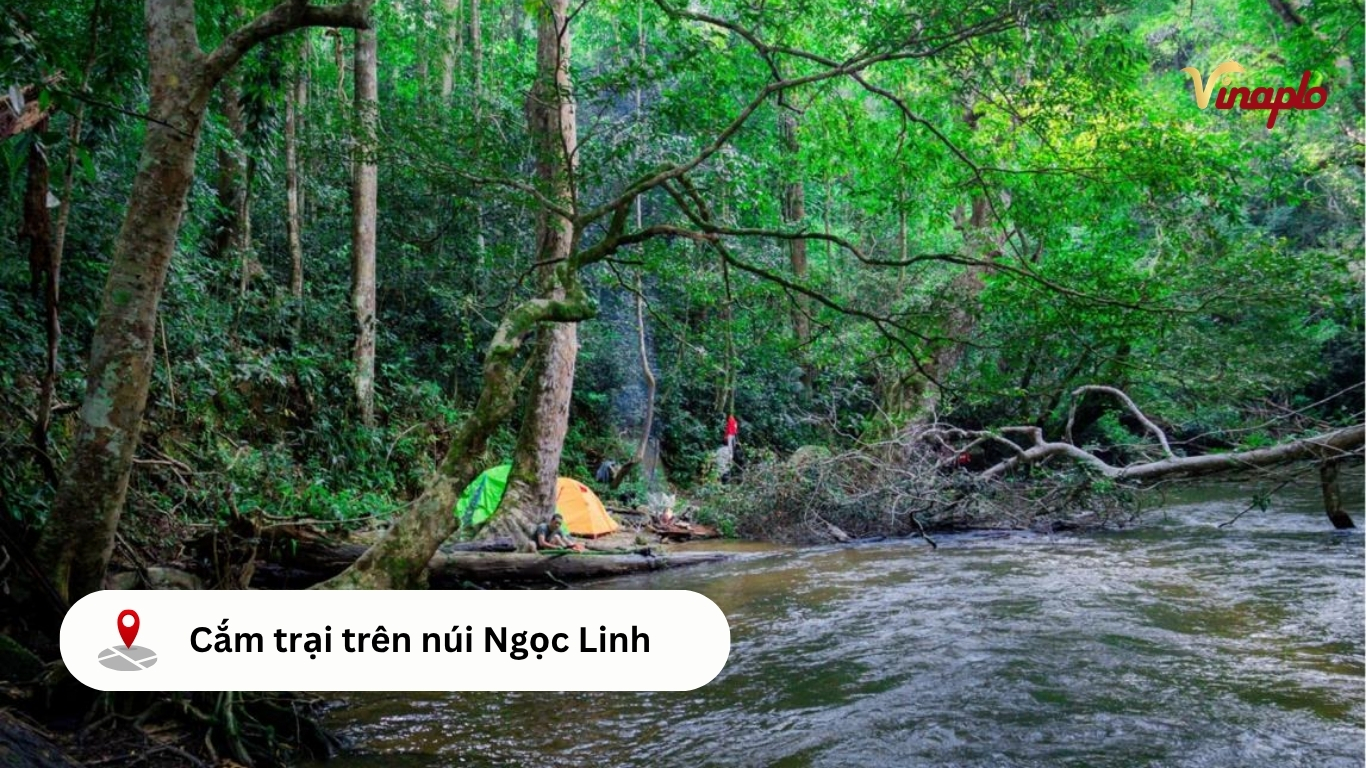 Cắm trại trên núi 