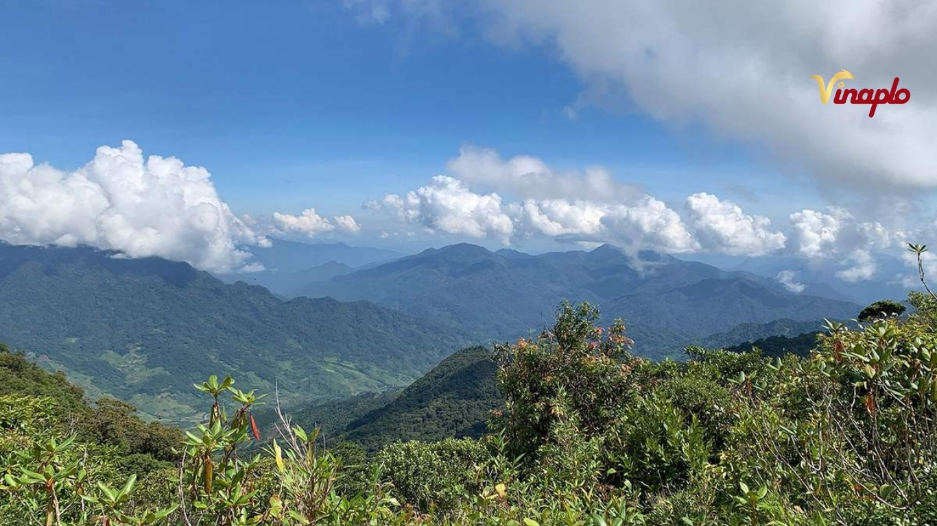 Khí hậu thích hợp