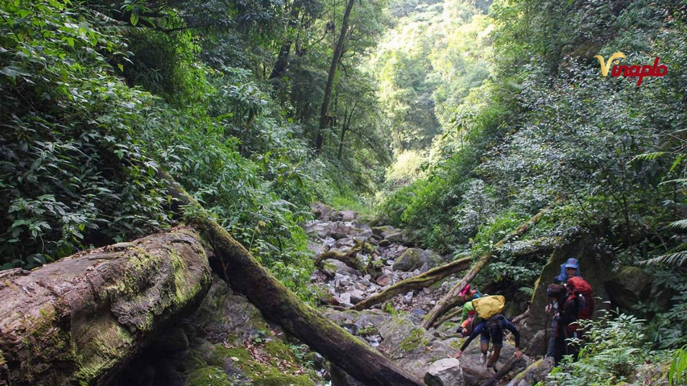 Đất đai thuận lợi