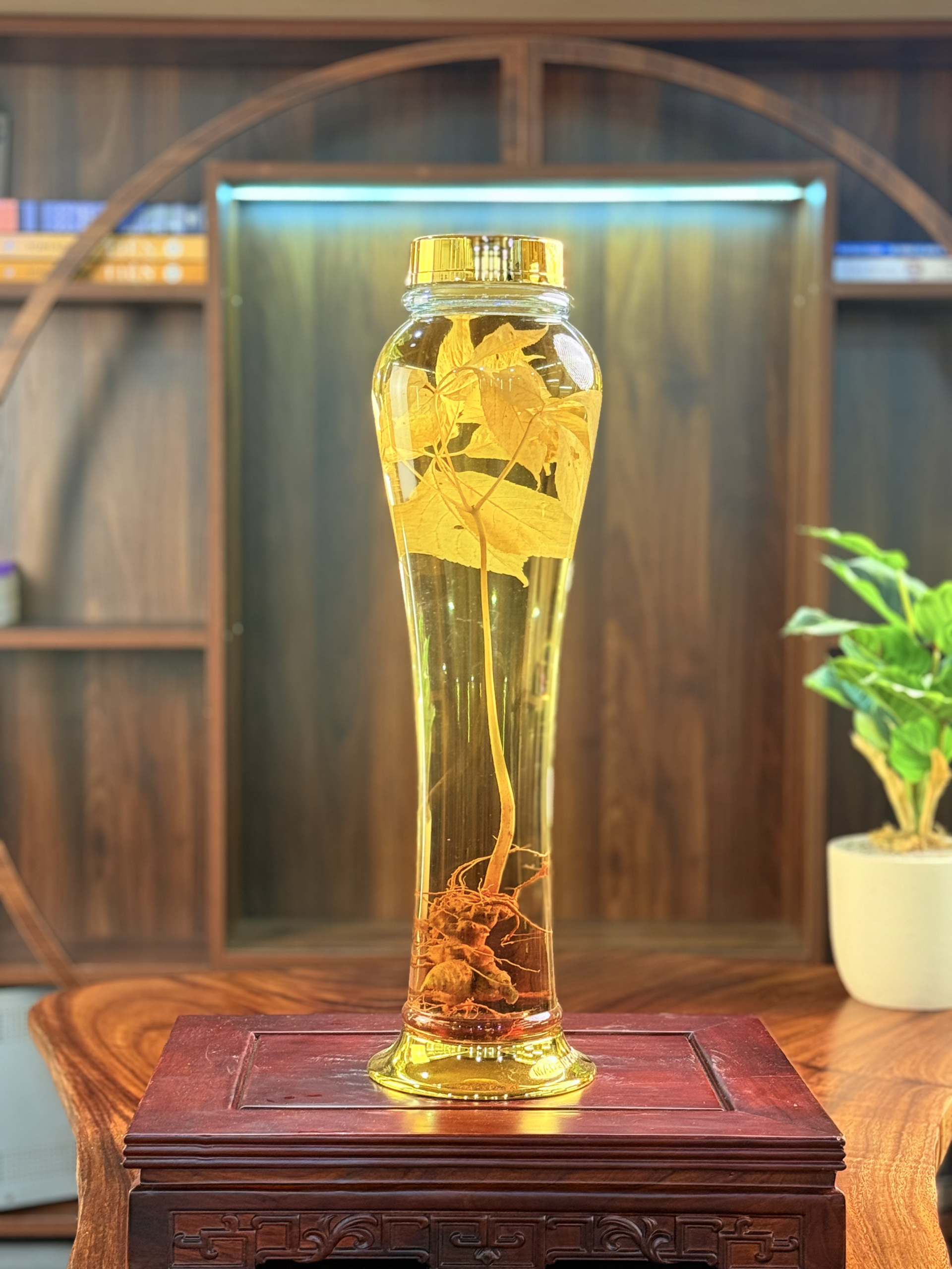 Rượu sâm Ngọc Linh