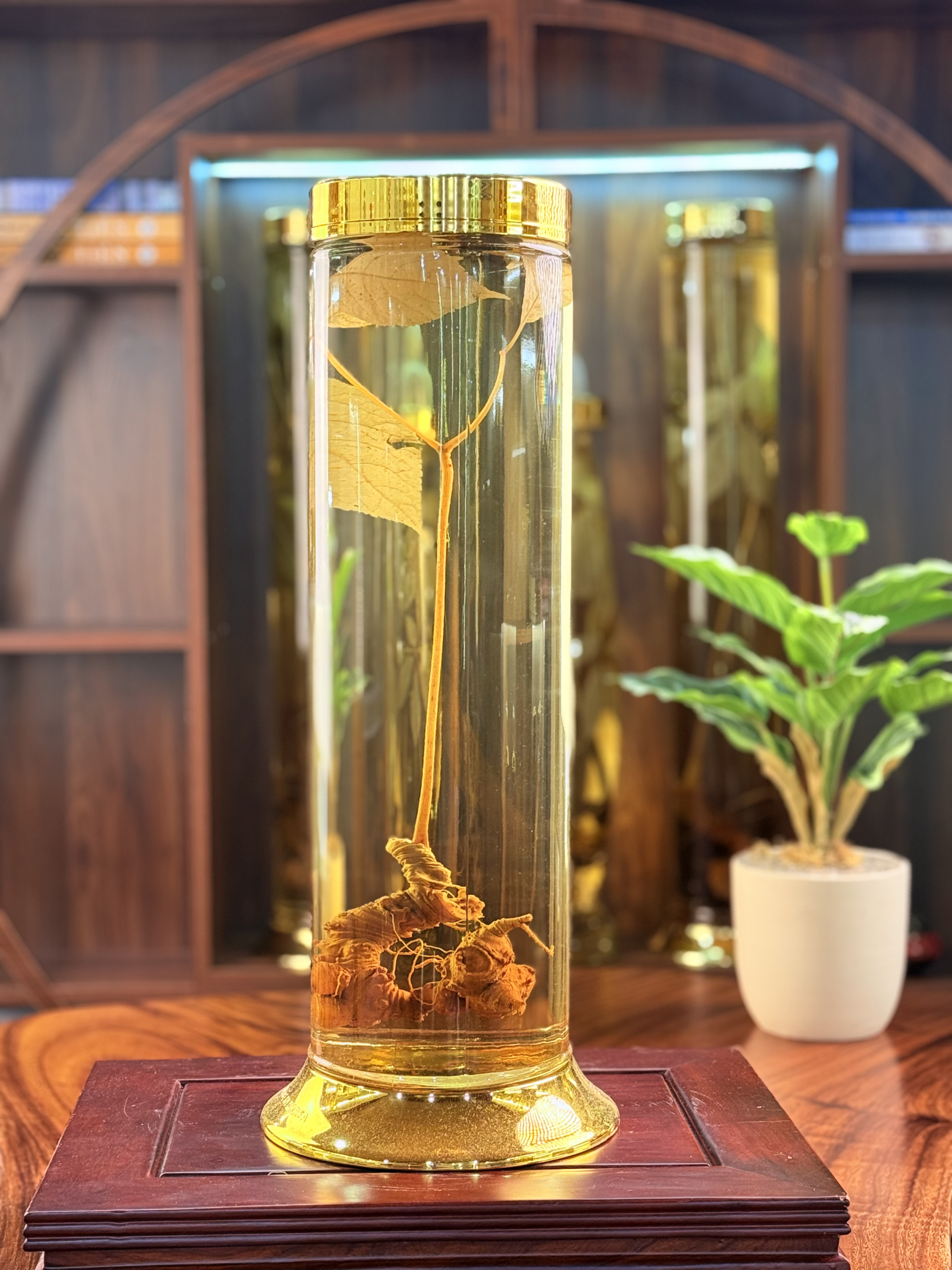 Rượu sâm Ngọc Linh