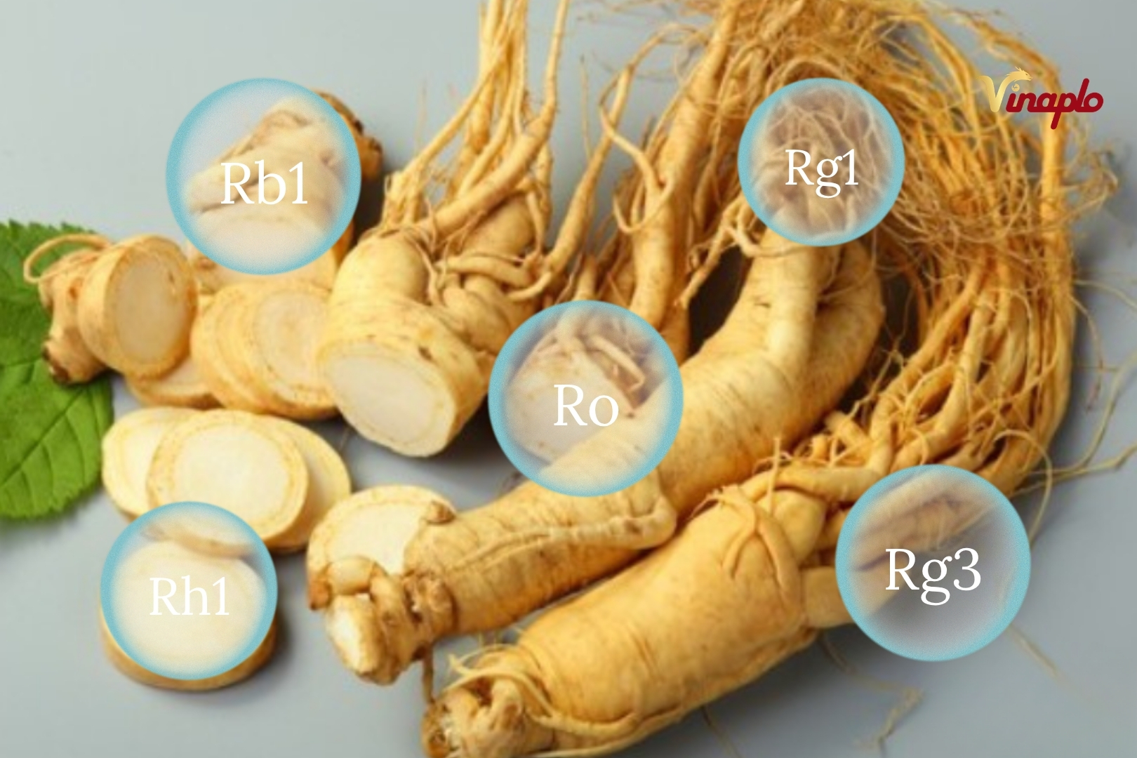 Thành phần dinh dưỡng trong sâm Hàn Quốc