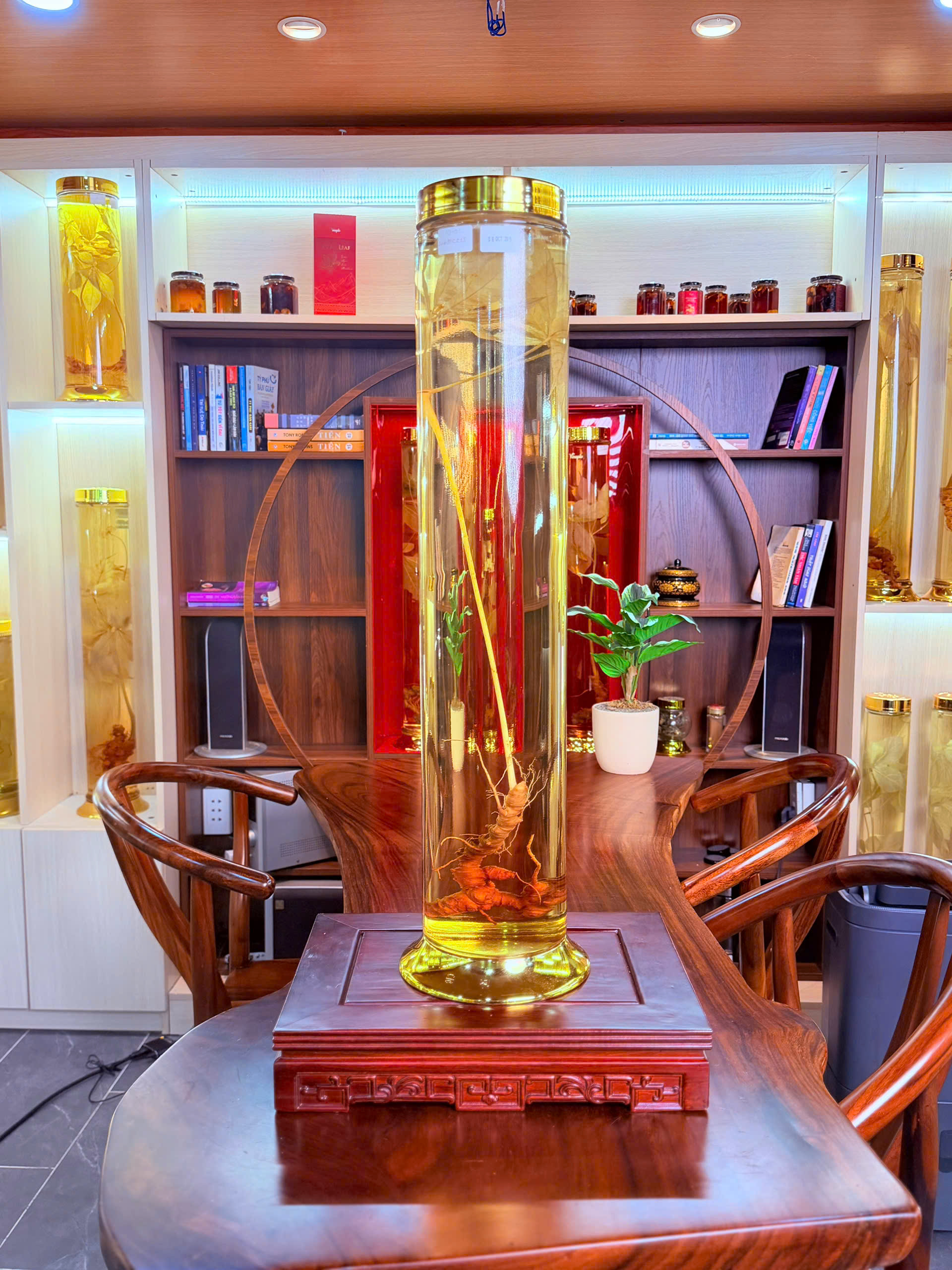 Rượu s&acirc;m ngọc linh