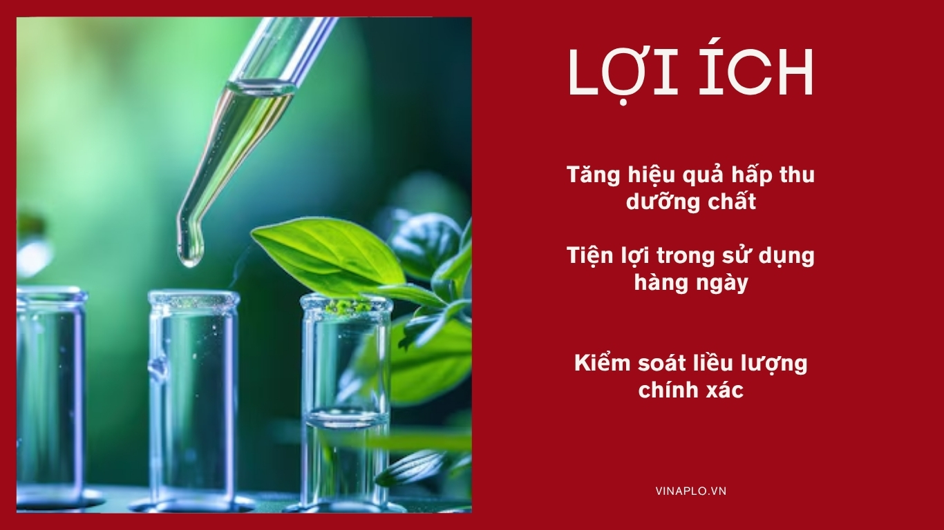 Lợi ích chiết xuất