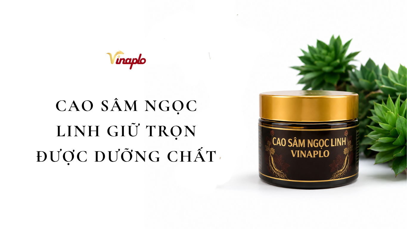 Cao sâm Ngọc Linh giữ trọn dưỡng chất