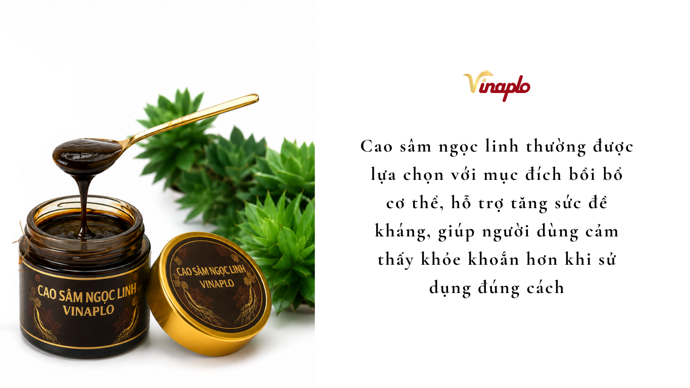 Cao sâm Ngọc Linh tốt cho sức khỏe
