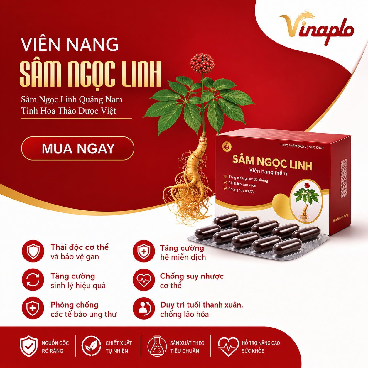 Thuốc sâm Ngọc Linh dạng viên