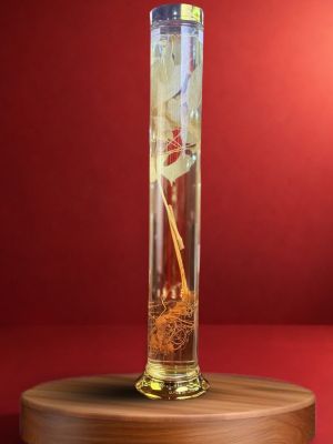 RƯỢU S&Acirc;M NGỌC LINH