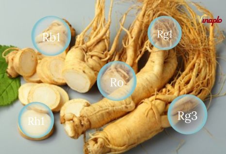 Th&agrave;nh phần dinh dưỡng trong s&acirc;m H&agrave;n Quốc