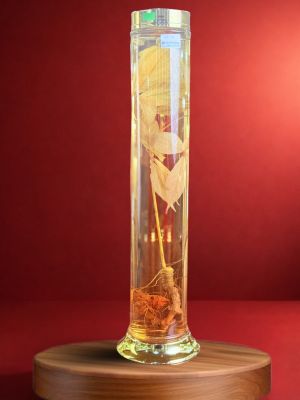 rượu s&acirc;m ngọc linh